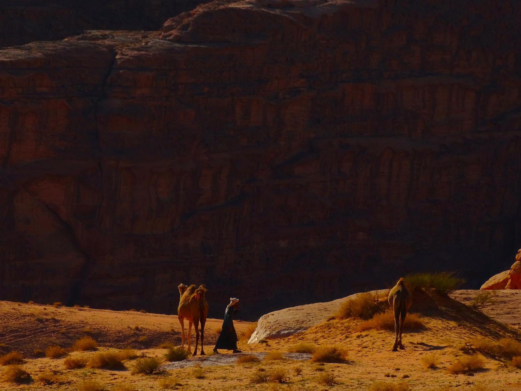 Wadi Rum View Camp 外观 照片